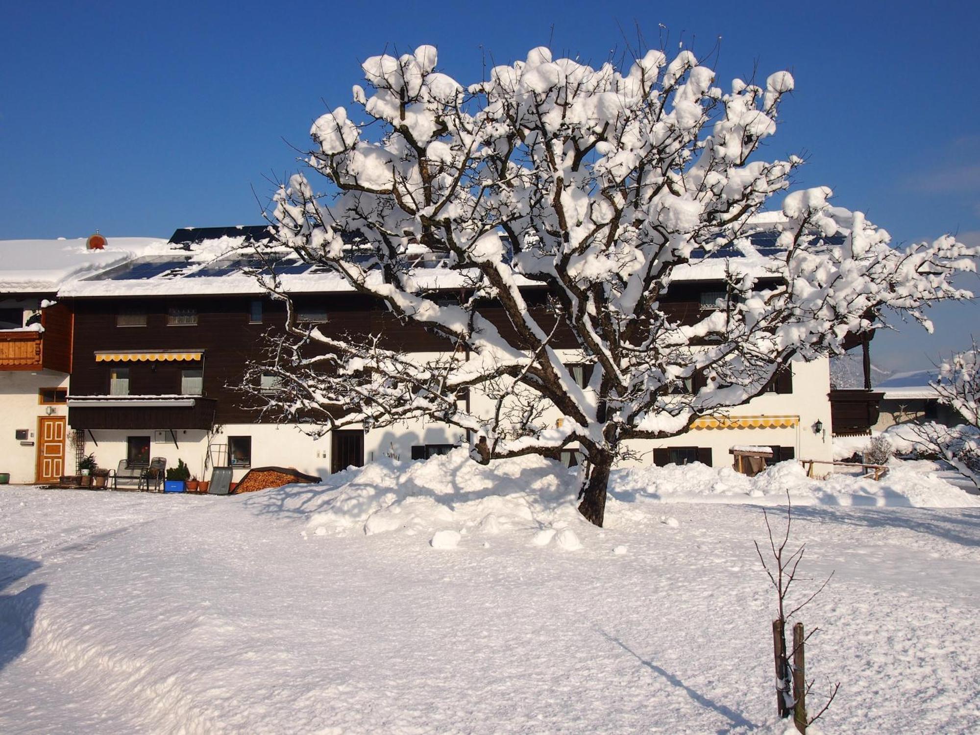 Pension Wagnerhof Oberaudorf Zewnętrze zdjęcie