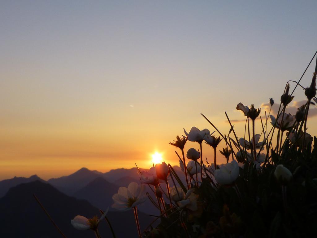 Pension Wagnerhof Oberaudorf Zewnętrze zdjęcie